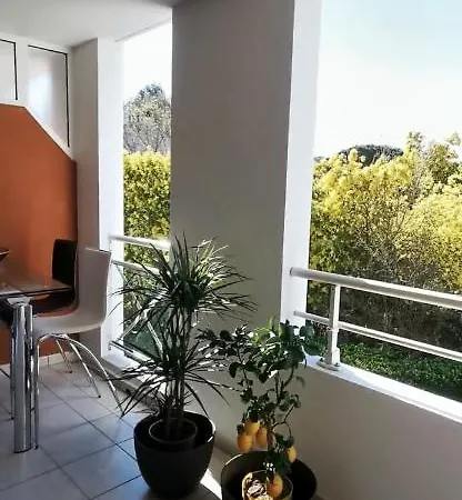 A 2 Pieces, Grande Terrasse, Vue Parc Au Calme Cannes